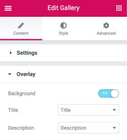 Gallery Overlay Gallery Overlay