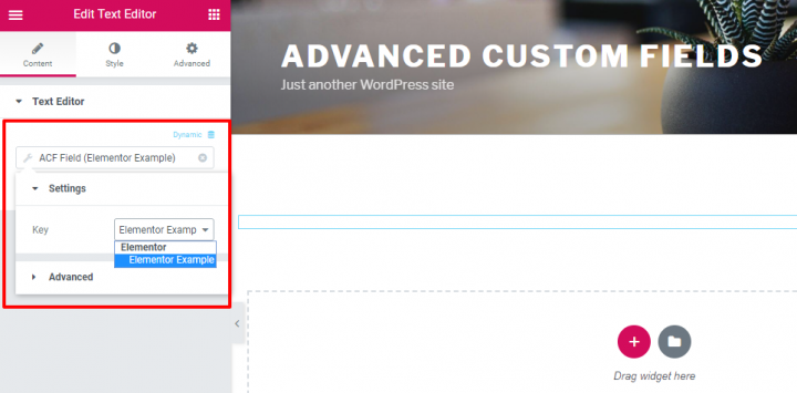 advanced custom fields 4 1 Advanced Custom Fields Vs. Pods Vs. Toolset: A Detailed Comparison 5