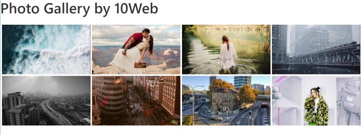 10Web Image Gallery Plugin 10Web Image Gallery Plugin
