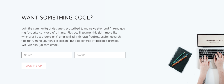 Codepuffin Subscribe Form Example Elementor Subscription Form Example