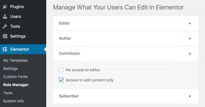 elementor role manager Introducing Role Manager - Protect Your Design 1