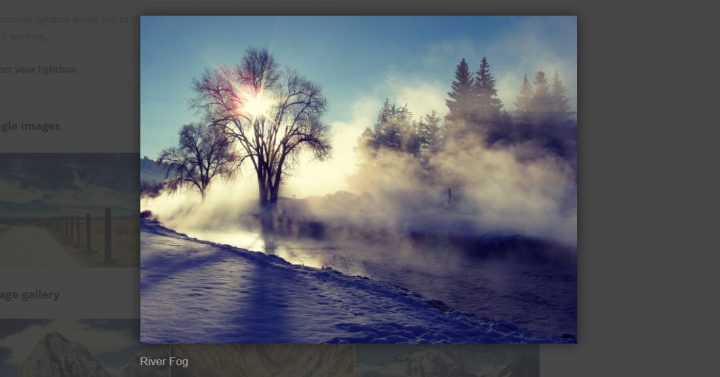 image6 5 Best Lightbox Plugins for WordPress 4
