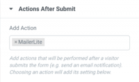 milerlite integration setting3 Introducing New Form Integrations: Slack, Discord & Mailerlite 8