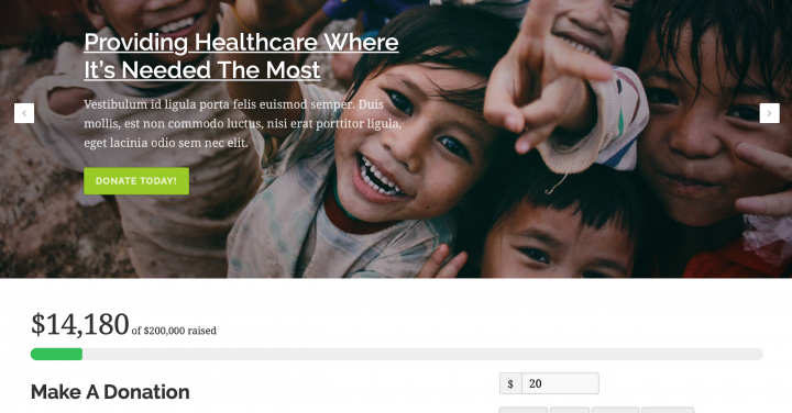 nonprofit healthcare template