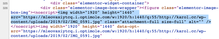 path to img Optimize Your Site Images With Elementor and Optimole 11