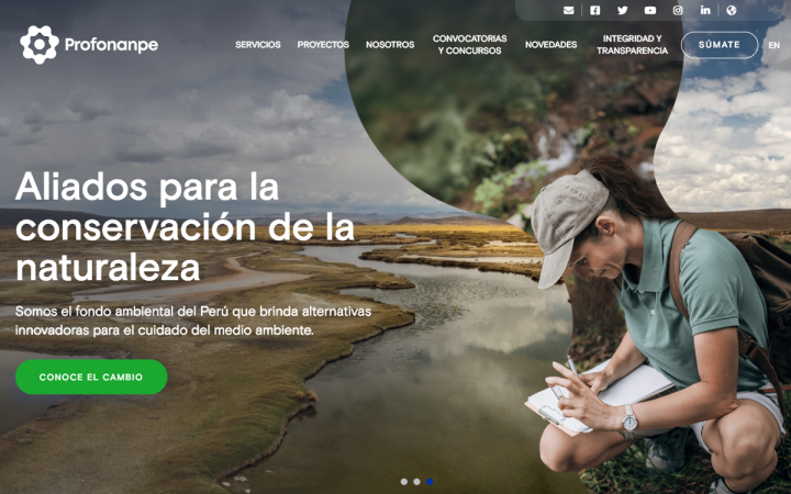 Profonanpe Elementor Showcase