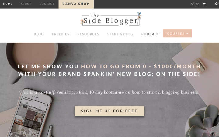 the side blogger elementor showcase