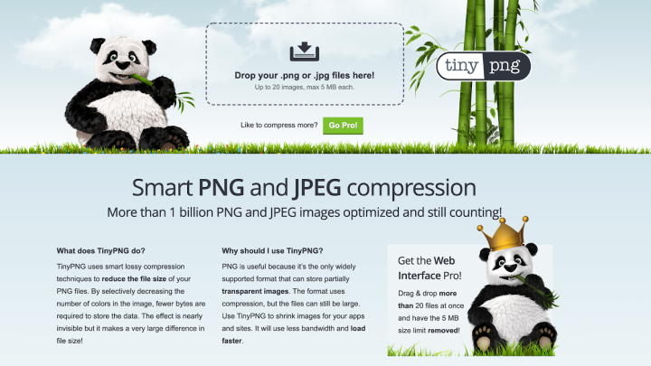 tinypng image optimization How To Design an Effective Landing Page — 8 Best Practices 20