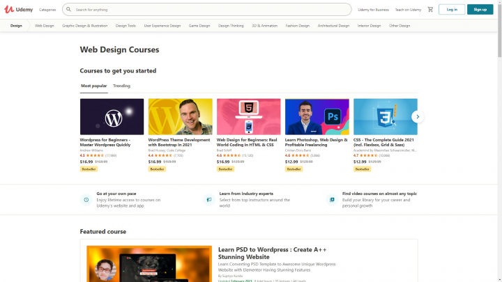 udemy 17 Best Online Courses for Web Design 3