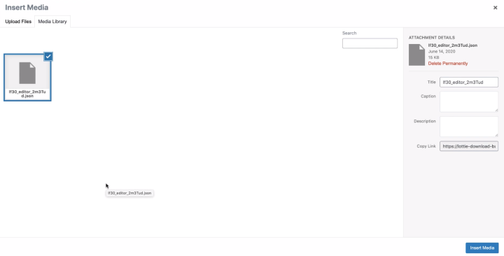 Upload Your Lottie Json File Upload Your Lottie Json File