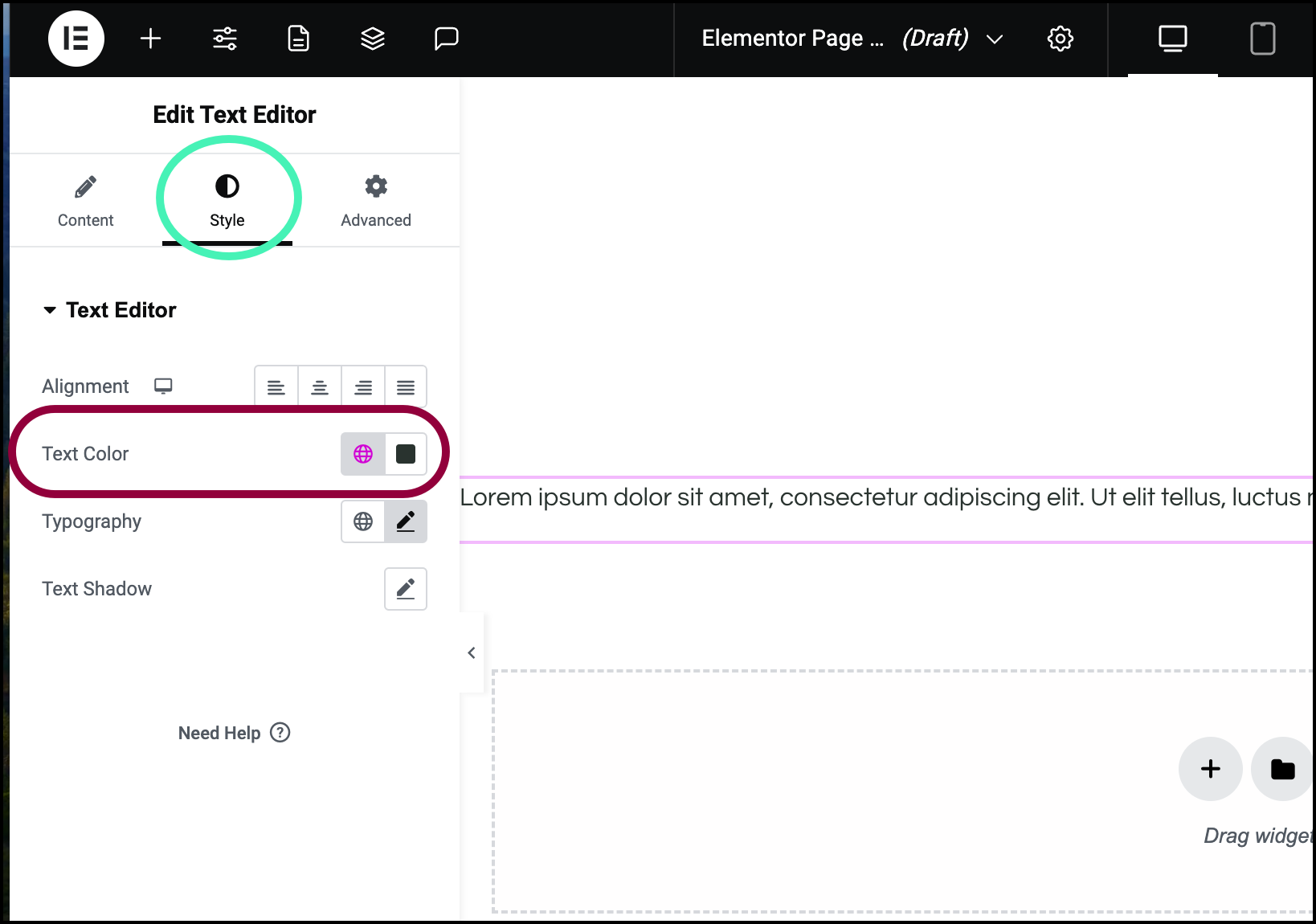 Select text color Change font size, color, family & style in Elementor website builder 19