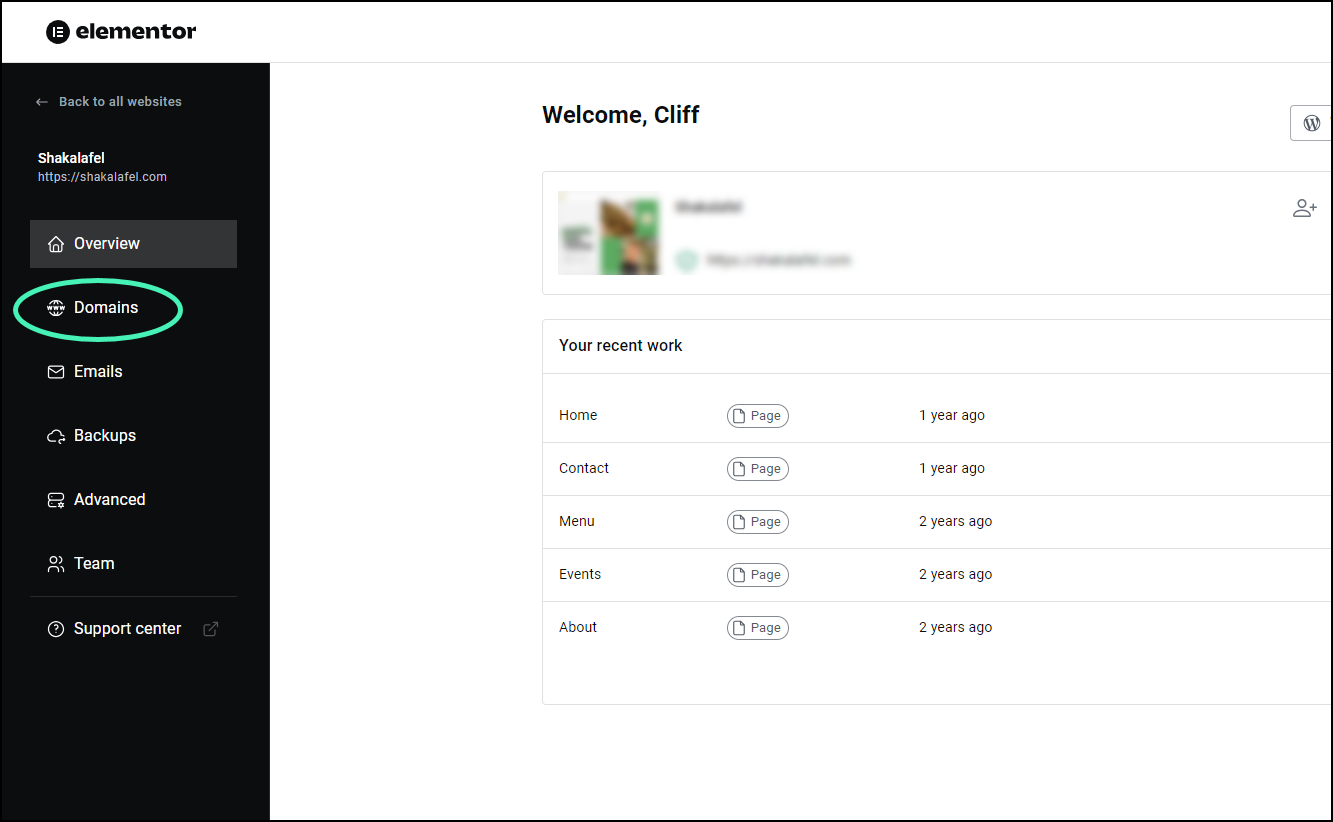 Click Domains Set a Custom Domain as Primary 3