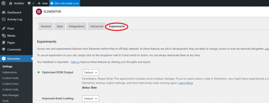 choose experiments Migrating an existing site to an Elementor hosted website 25