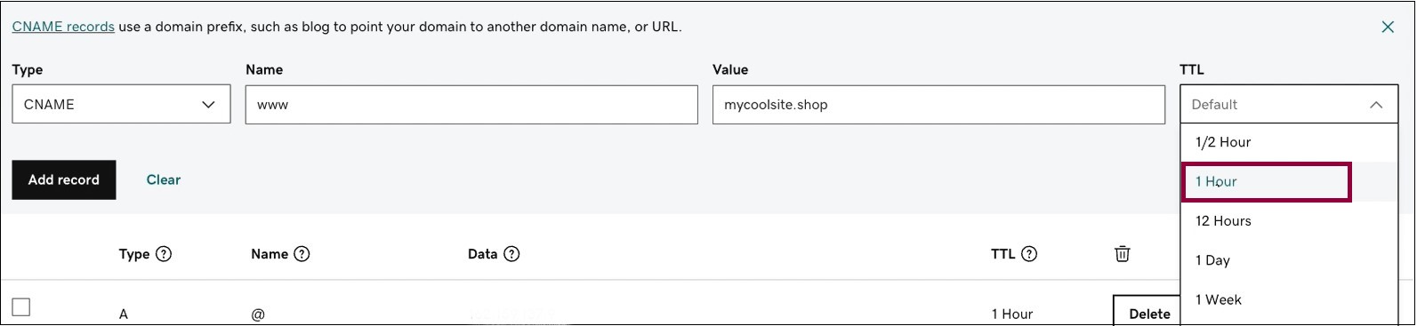 TTL2 Connect your GoDaddy domain 41