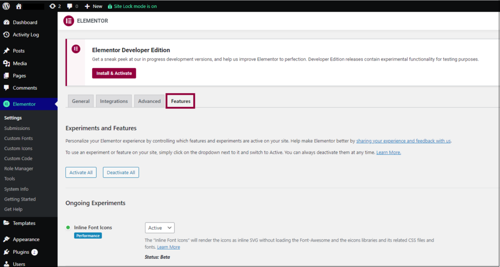 The WordPress dashboard with Elementor Features highlighted
