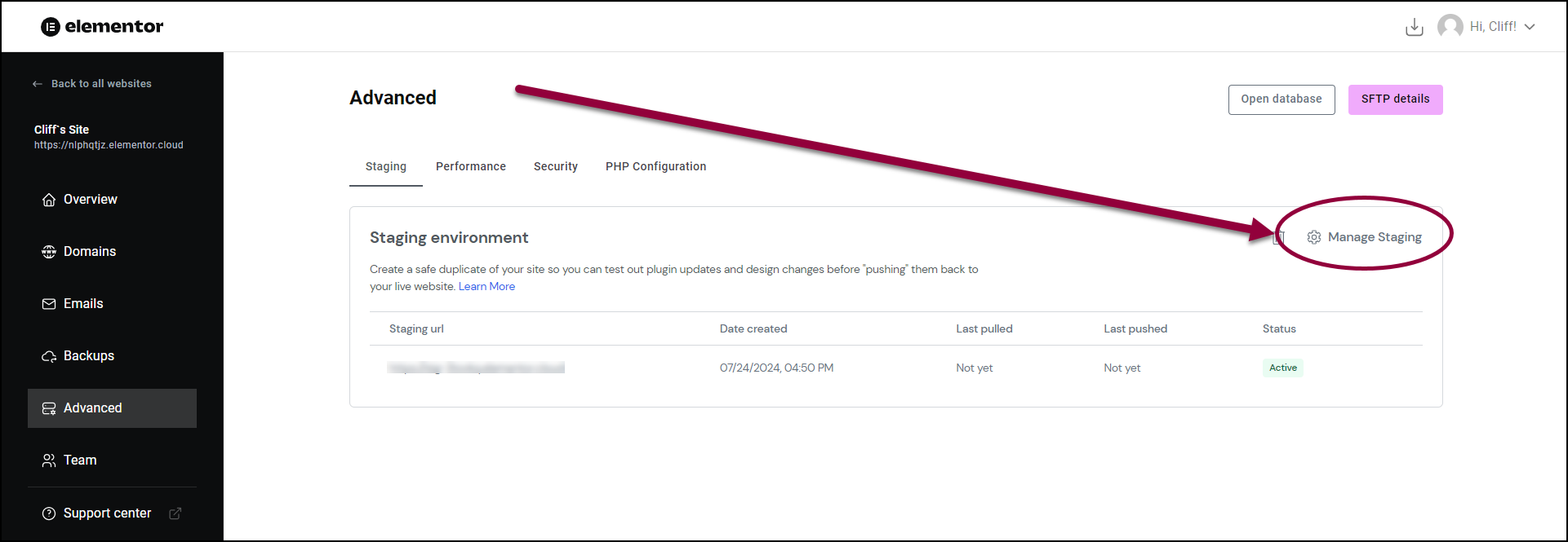 Click Manage Staging Delete a staging site 5