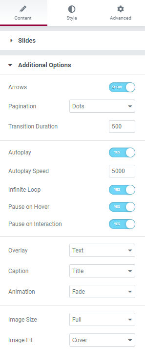 Content tab additional options Basic Media Carousel widget 51