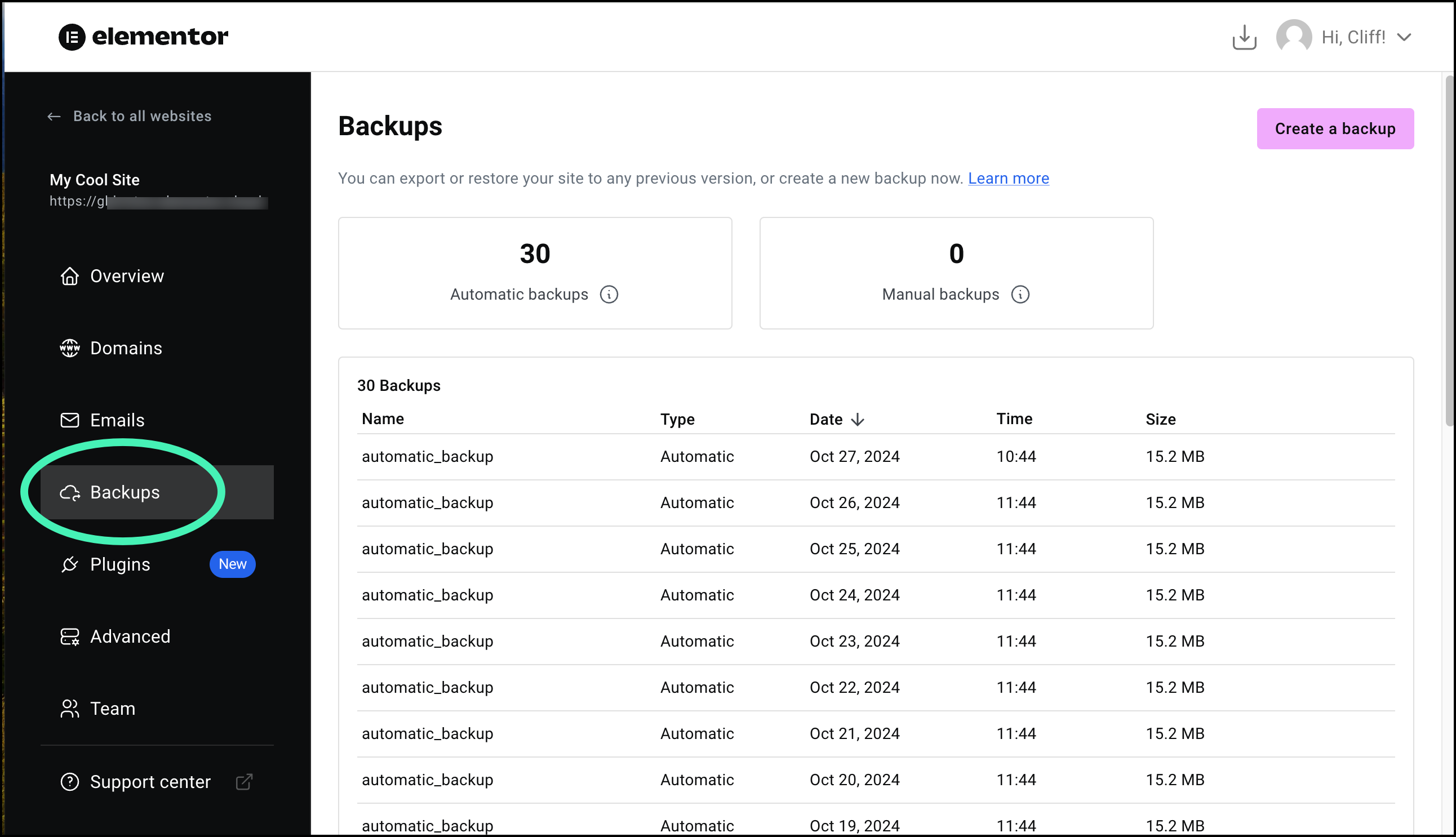 click the backup tab Manage your Elementor Hosting backups 3