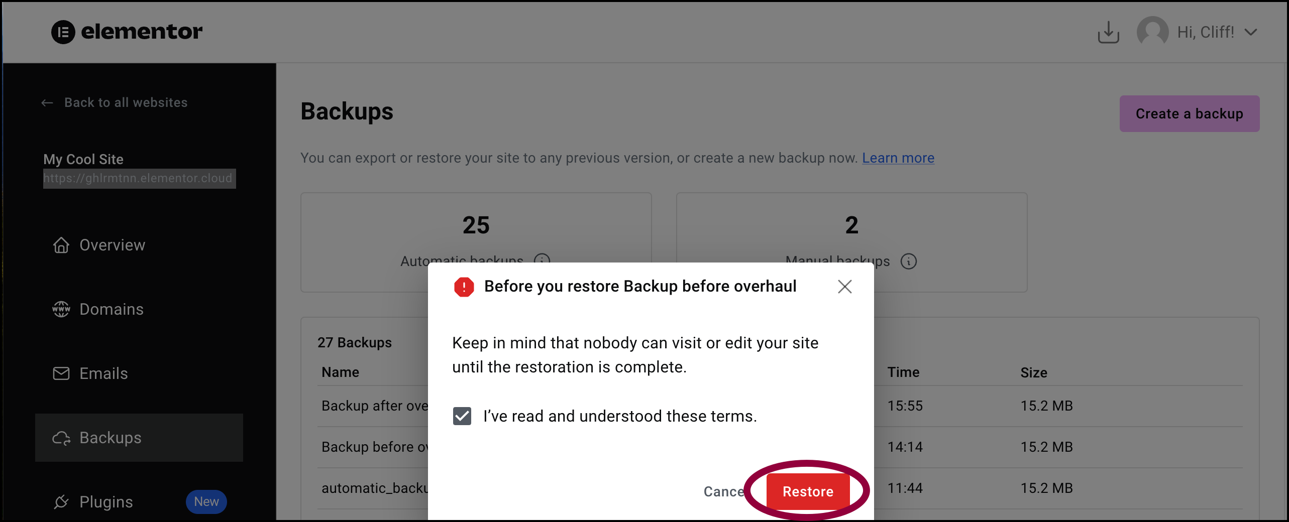 Click restore to confirm Restore previous version of your website 13