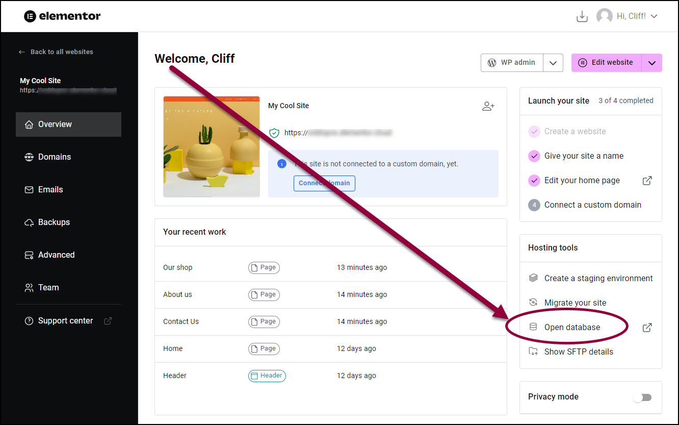 In the right panel click open database Access the database of your Elementor Hosting website 3