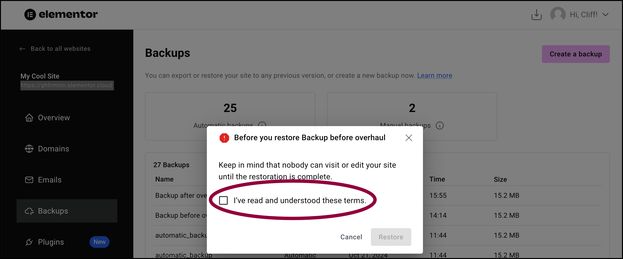 Read the terms and check the Restore previous version of your website 11