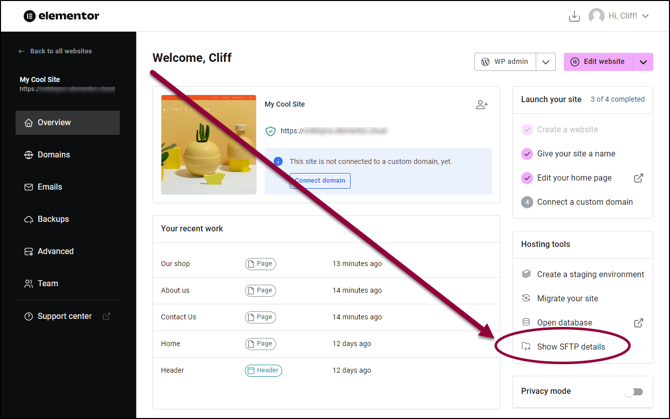 In the right panel click sftp details Transfer files to an Elementor Hosting site 3