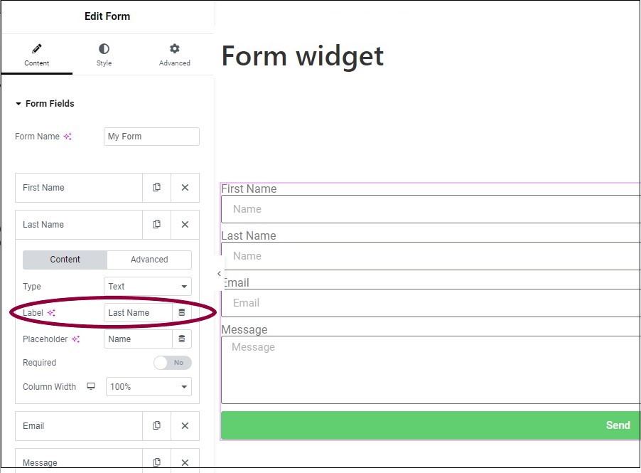 8 Edit to last name Form widget 453