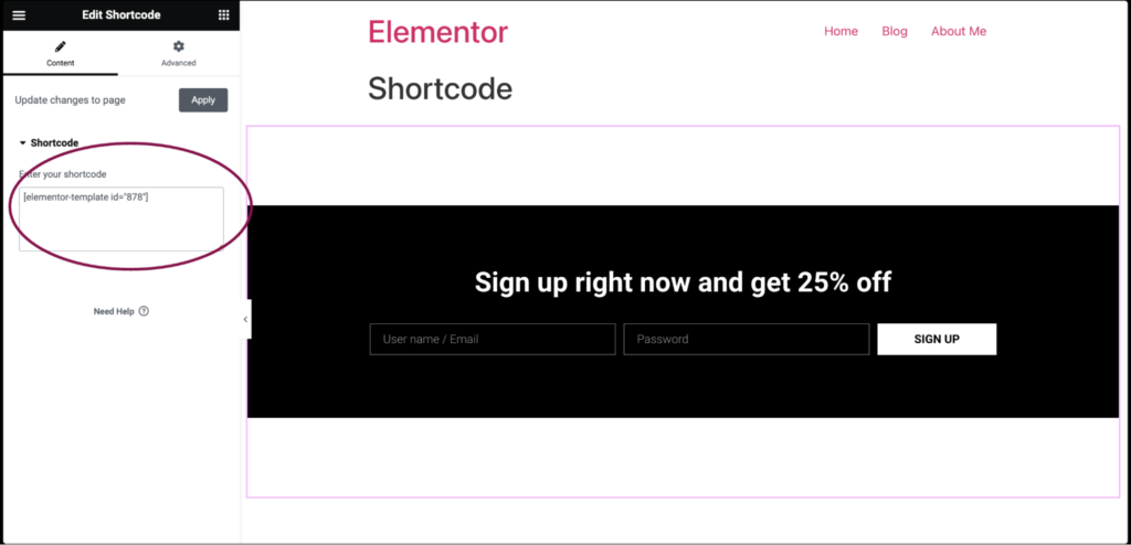 Shortcode widget 1