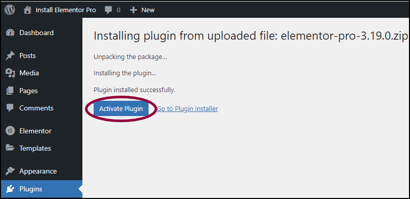 image 15 Install & activate Elementor Pro 11