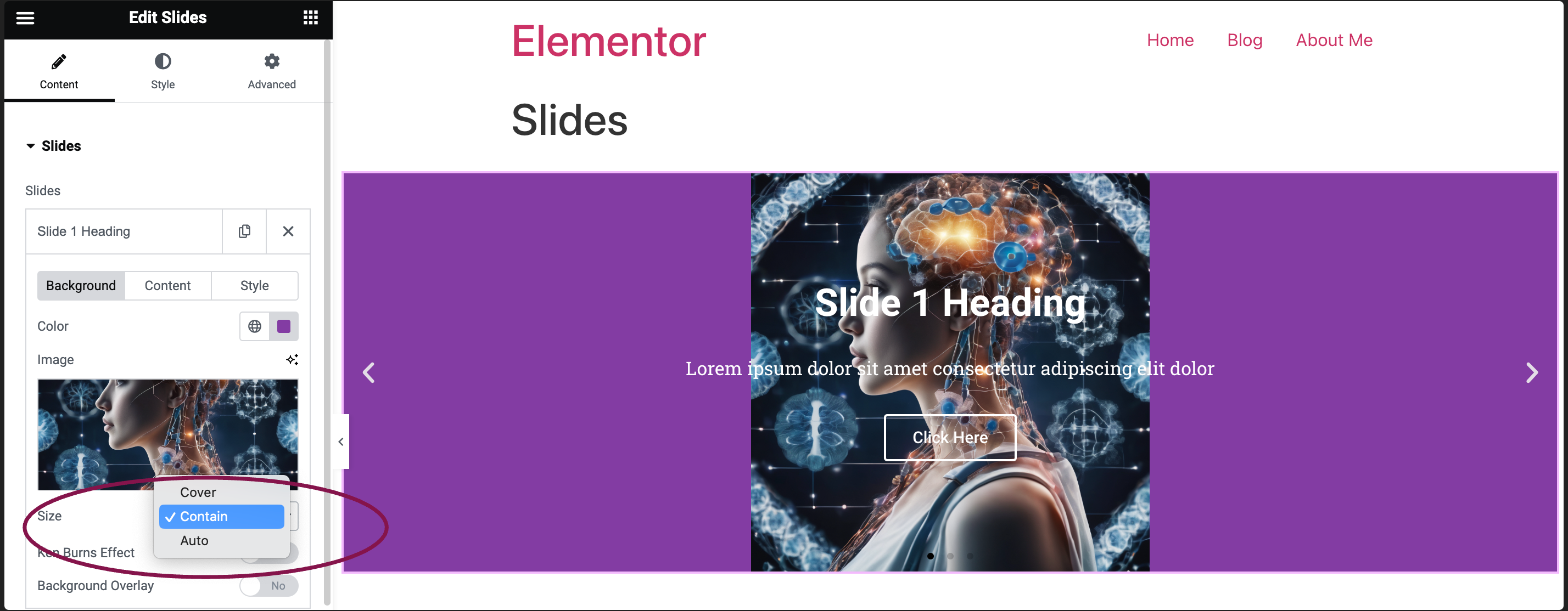 image size Slides widget 11