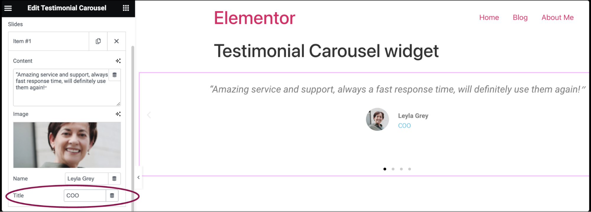 Testimonial Carousel widget 9