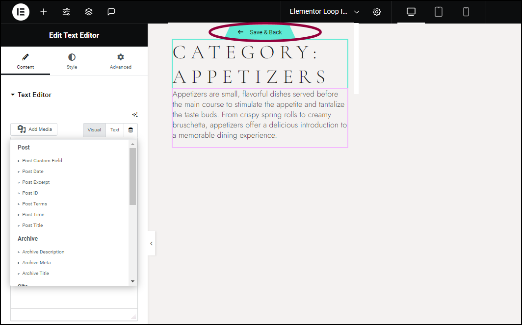 image 50 Create a category page using the Loop Grid or Loop Carousel 243