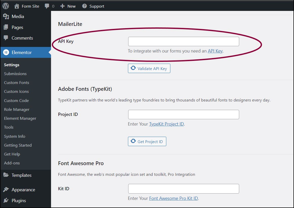 image 60 Integrate forms with MailerLite 5