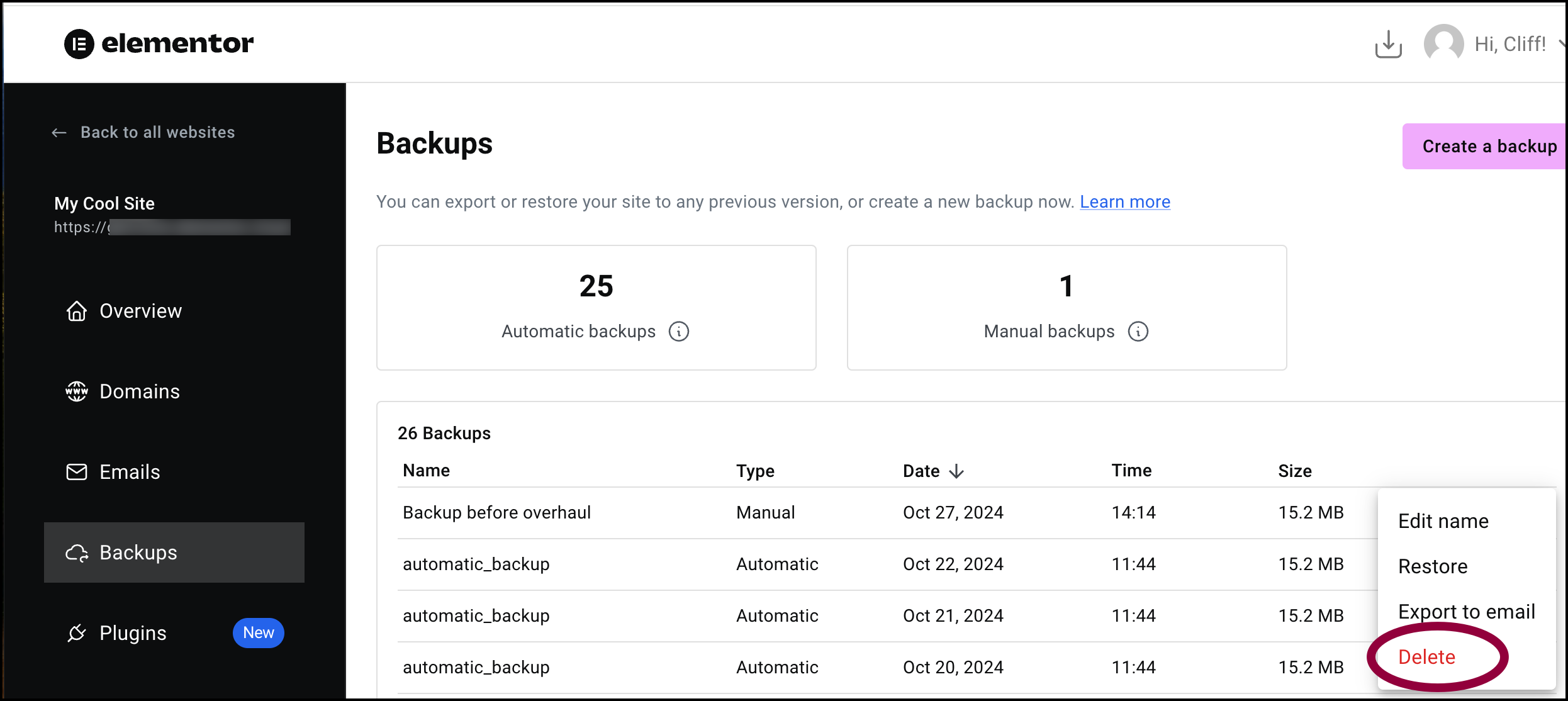 Click delete Manage your Elementor Hosting backups 23