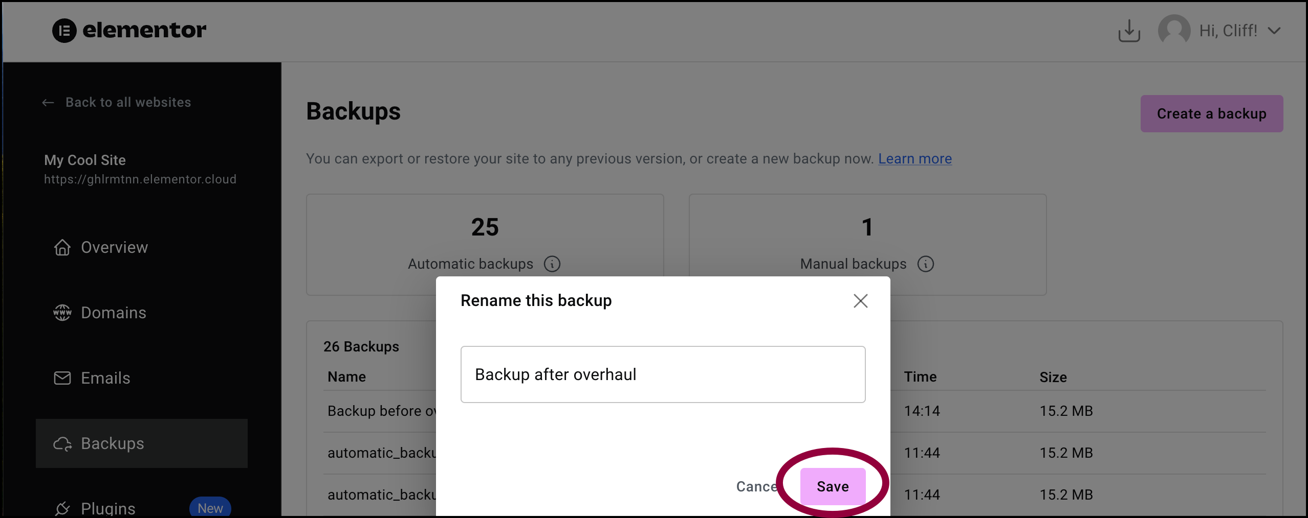 click Save for rename Manage your Elementor Hosting backups 17