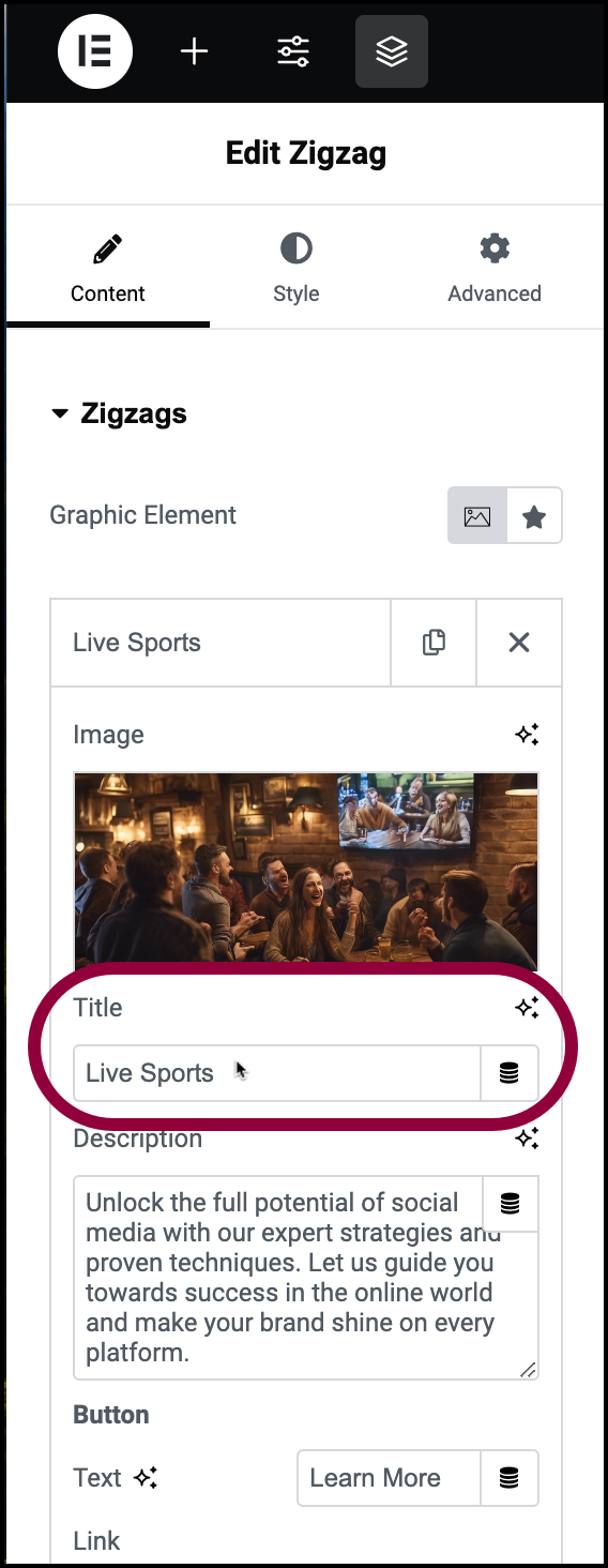 Enter live sports Zigzag Widget 463