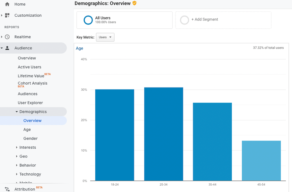 Demographics Overview tab in Google Analytics