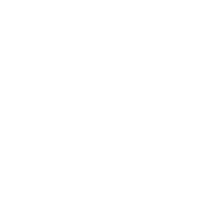 e logo 1 Motion Effects 1