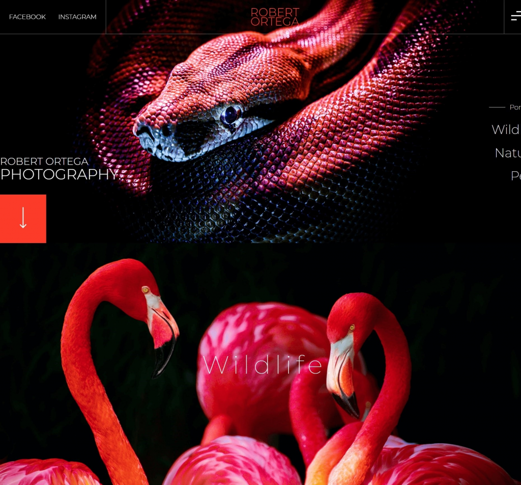 Photography Website